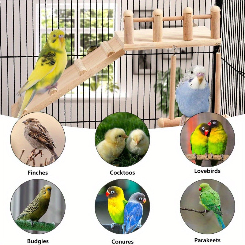 Bird Staircase For Extra Fun