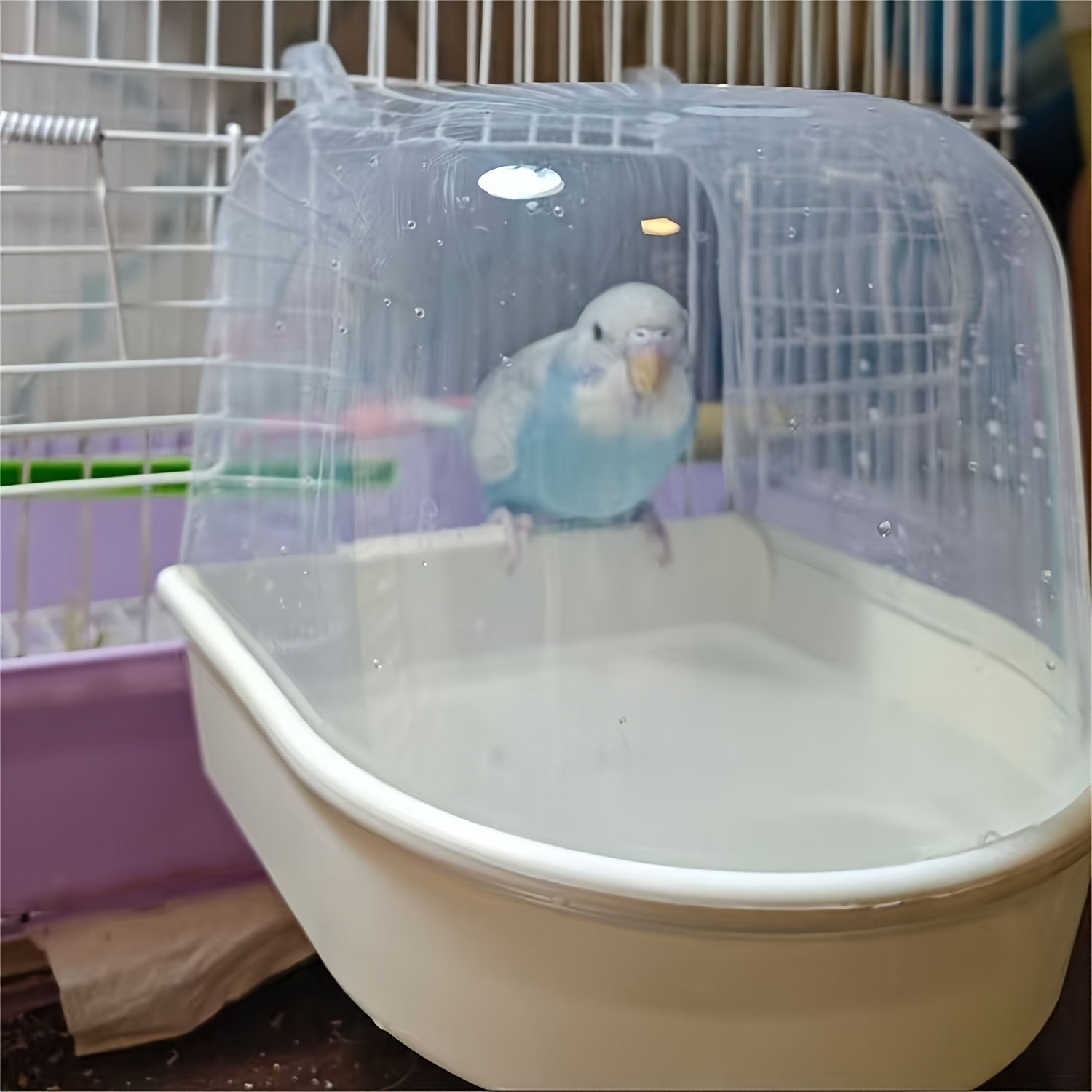 Bird Bath Play Pool For Small Birds
