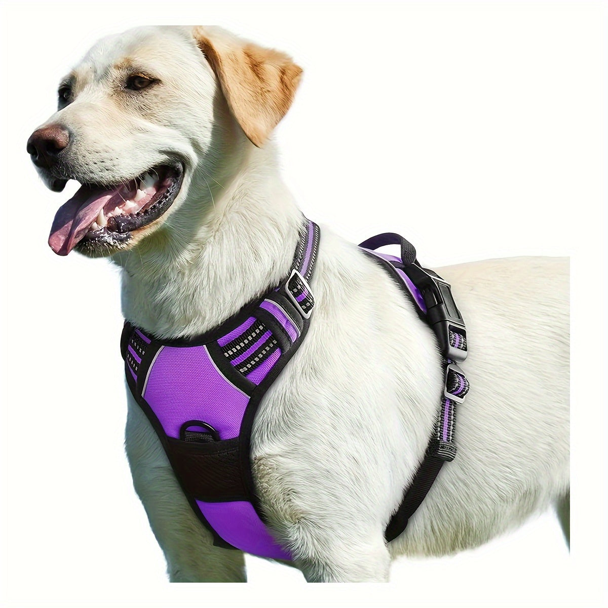 Dog Harness For Extra Safety