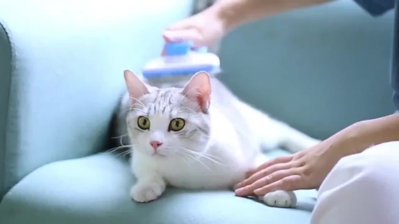 Hair Remover For All Pets