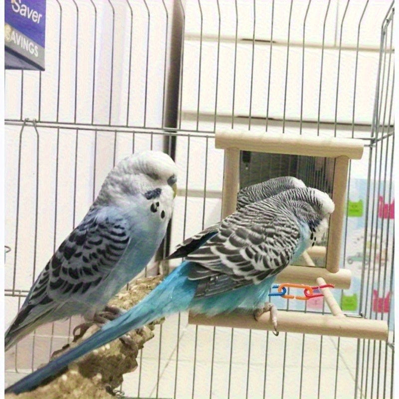 Small Bird Mirror