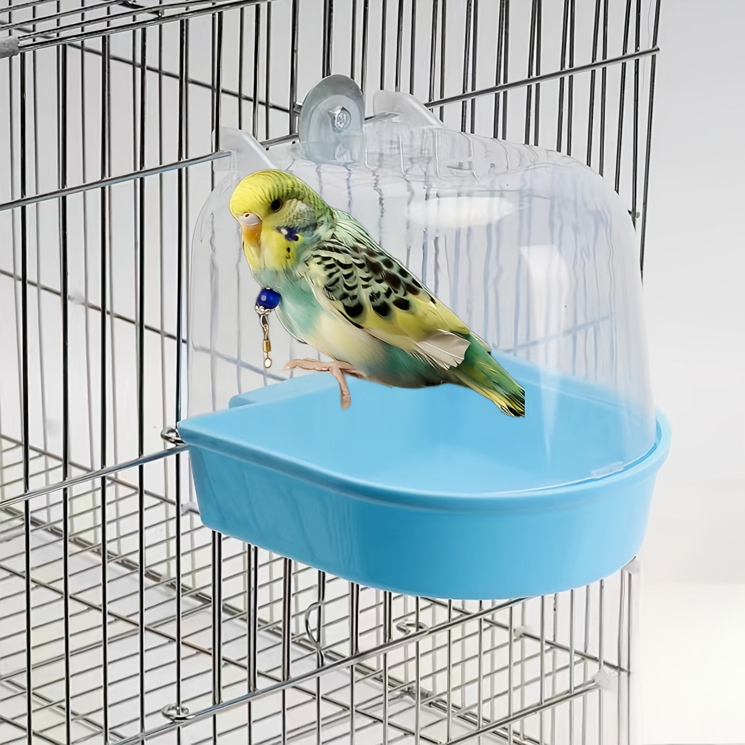 Bird Bath Play Pool For Small Birds