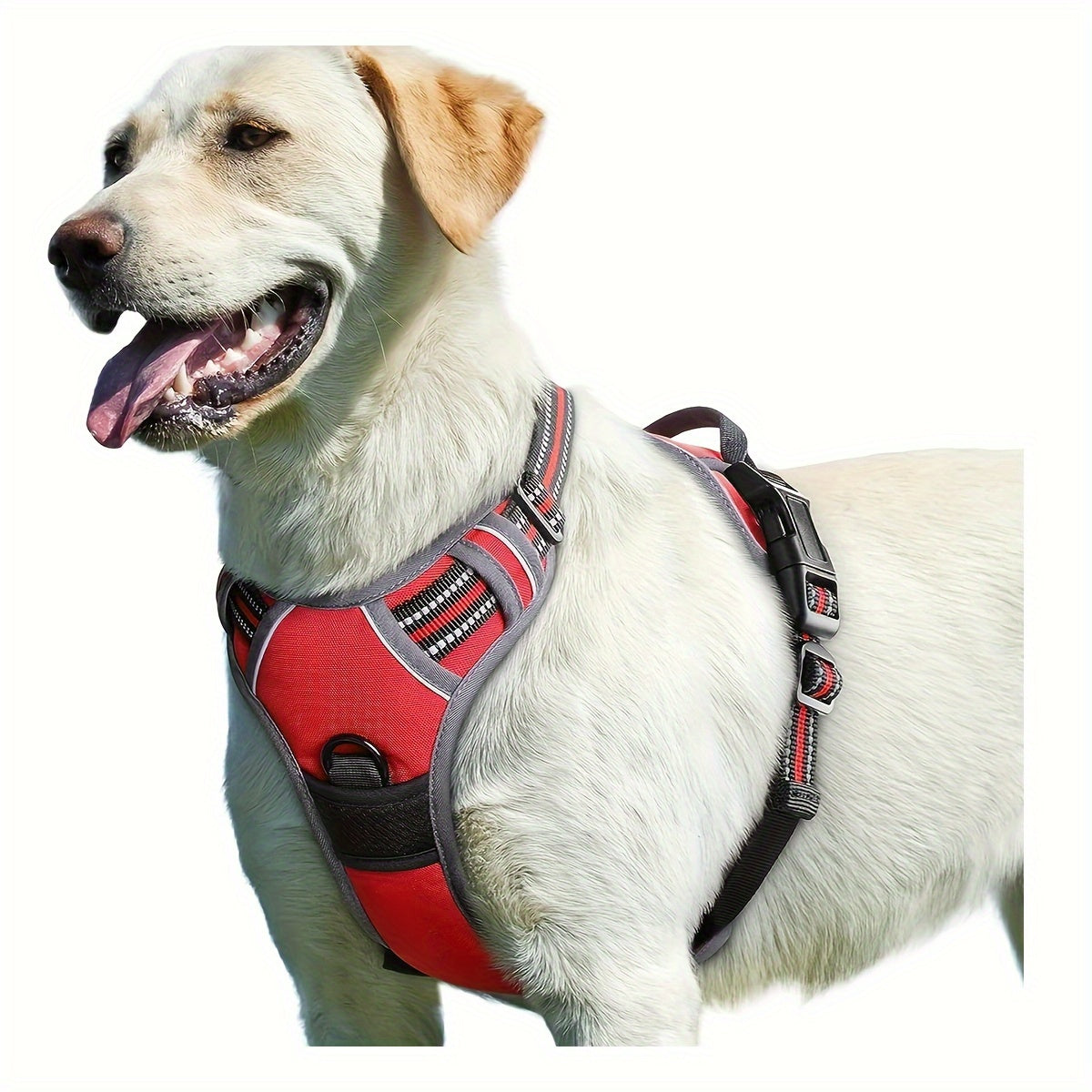 Dog Harness For Extra Safety